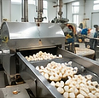 Makhana moving through a cleaning machine